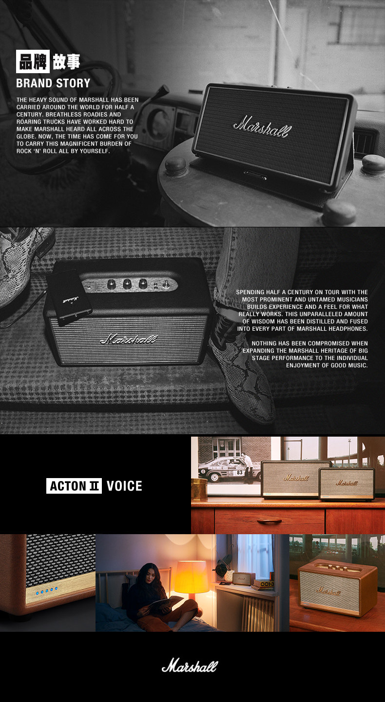 Acton-2-Voice-Details Brown Version_17.jpg