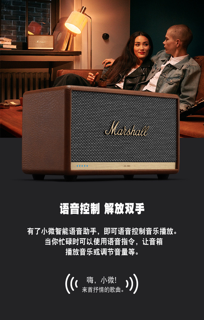 Acton-2-Voice-Details Brown Version_05.jpg