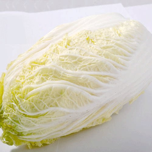 东升农场 东升黄金大白菜 绍菜  广州蔬菜新鲜配送 1000g