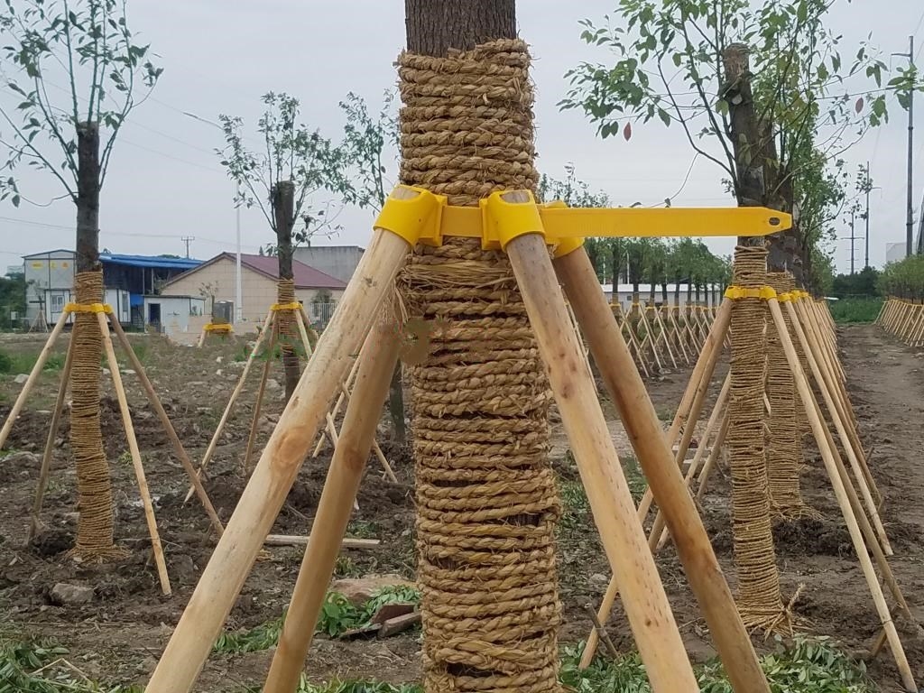 树木支架园林绿化工程防风支撑架杆固定器塑料套杯扎绑带大树撑杆