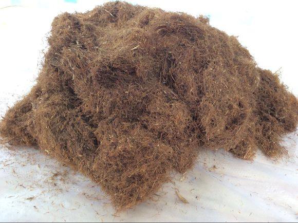 水烟筒,俗称大碌竹,水烟筒是粤西男人的第二生命.