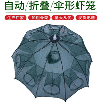 Umbrella shrimp cage shrimp net thick bait bait shrimp folding fish net shrimp round small fish shrimp cage