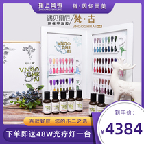 Renee original Van Gu series nail polish full set 80 tesqodan Barbie nail shop special phototherapy glue