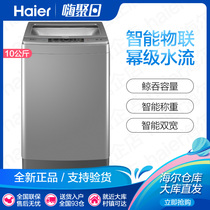 Haier Haier Haier 10kg large capacity power pulsator washing machine automatic household EB100F959U1