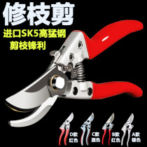 Direct marketing round forest cut fruit tree scissors branch pruner pruner cut garden cut flower tool thinning fruit repair orchard garden
