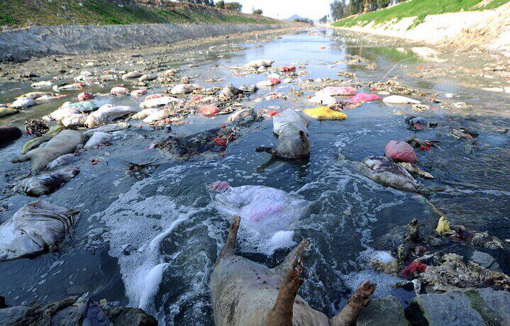懂生活的人,喝起水来一定有主张