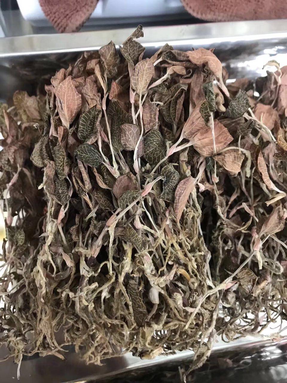 正宗福建新货仿野生整株金钱草干100g克天然金钱莲连结石茶中草