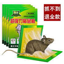 Super power sticky rat plate catching and large rat stick with glue to catch the rat-rat-trap god-ware super-powerful home end of the day