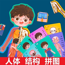 Childrens body parts cognition human body teaching aids toys structure organ puzzles three-dimensional English childrens safety education
