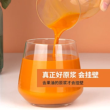 艾康沙棘原浆沙棘果汁450ml[5元优惠券]-寻折猪