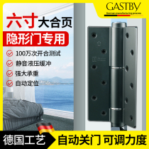 German Invisible Door Close-up Buffed Invisible Hydraulic Spring Automatic Close-door Positioning Hinge Close-up