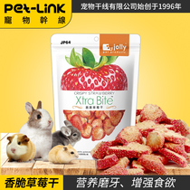 Pet trunk Jolly strawberry supplement vitamin VC rabbit Chinchilla hamster food snack