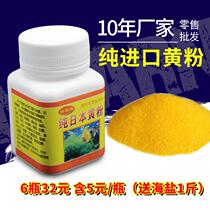 Japanese yellow powder imported sterilization Fish Tank Aquarium Fish Fish Fish Aquarium Fish Fish Fish Fish Fish Fish tail tail