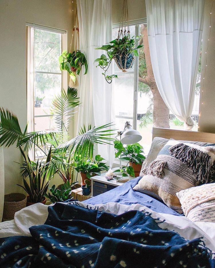 虎皮兰盆栽室内放客厅大碰载植物吸甲醛好养