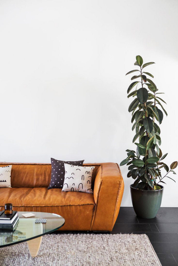 10种看了就喜欢的极简北欧风绿植
