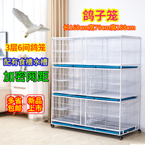 Pigeon matching cage pigeon breeding and breeding cage pigeon cage pigeon cage cage meat pigeon pigeon cage chicken cage
