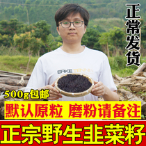Wild Leek seed 500g leek seed Chinese herbal medicine Leek seed powder male men Tea edible cabbage seed