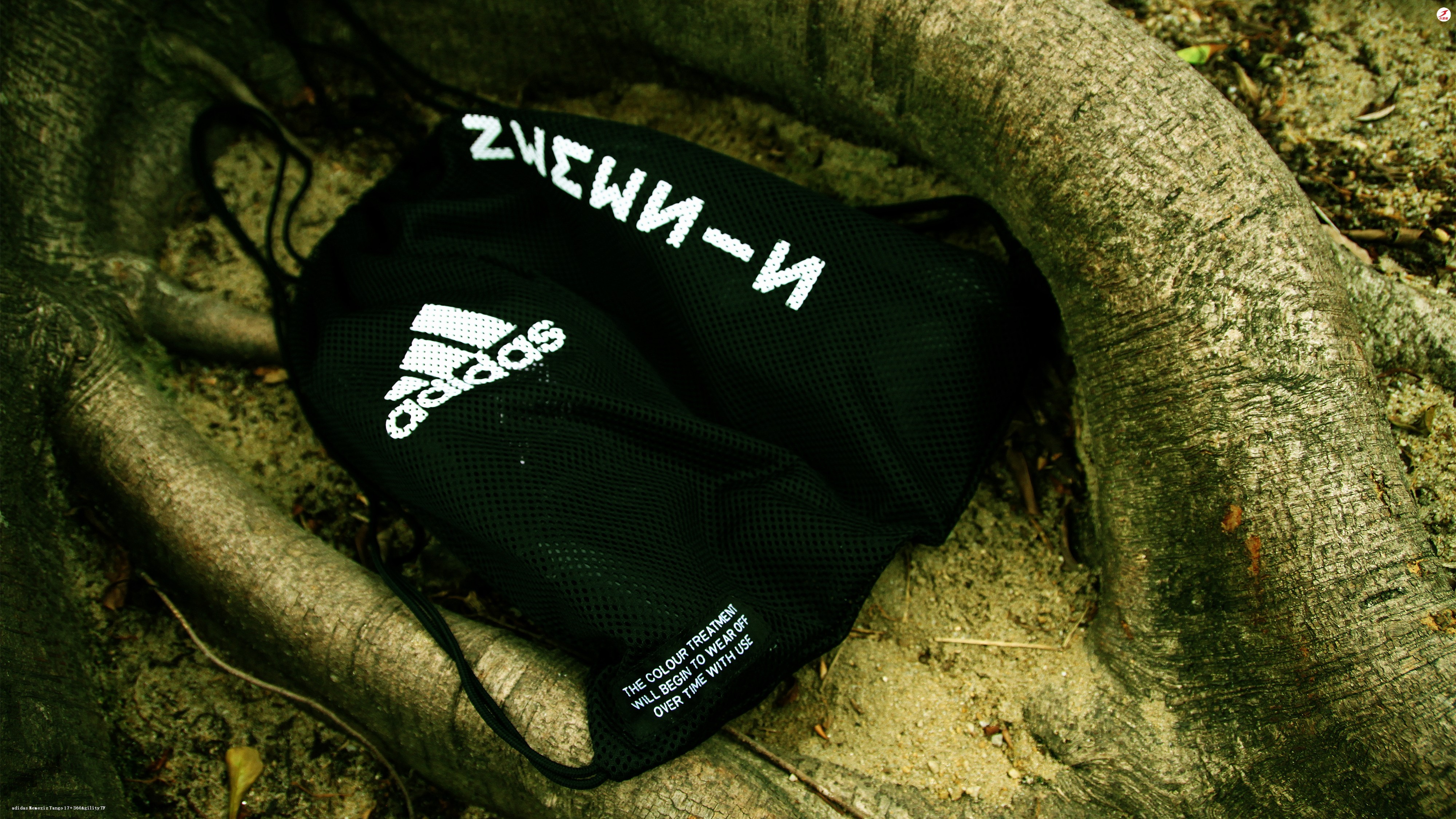 原创摄影:"黑精灵"与"萤火虫"