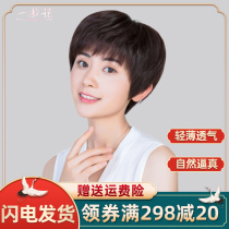 Wig female short hair middle-aged and elderly mother short hair real hair silk natural full head set hand woven fashion hair set