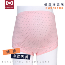 Yuanmans new briefs cotton mid-waist cotton 3-pack triangle shorts large-size pregnant women during pregnancy