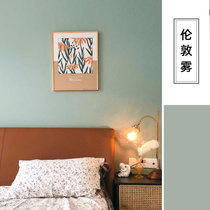 Latex paint Horseshoe London fog Apricot gray Avocado green Silver candlestick gray Blue wall paint Paint paint