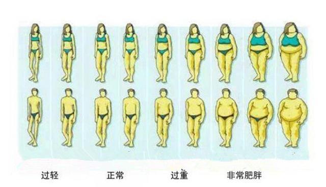 身材胖哪里才算胖,6种类型你属于哪种?