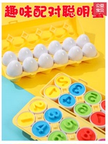 Childrens early education pairing smart eggs can dismantle real egg puzzle twist egg 0 - 1 - 3 years old 2 shape to recognize toys