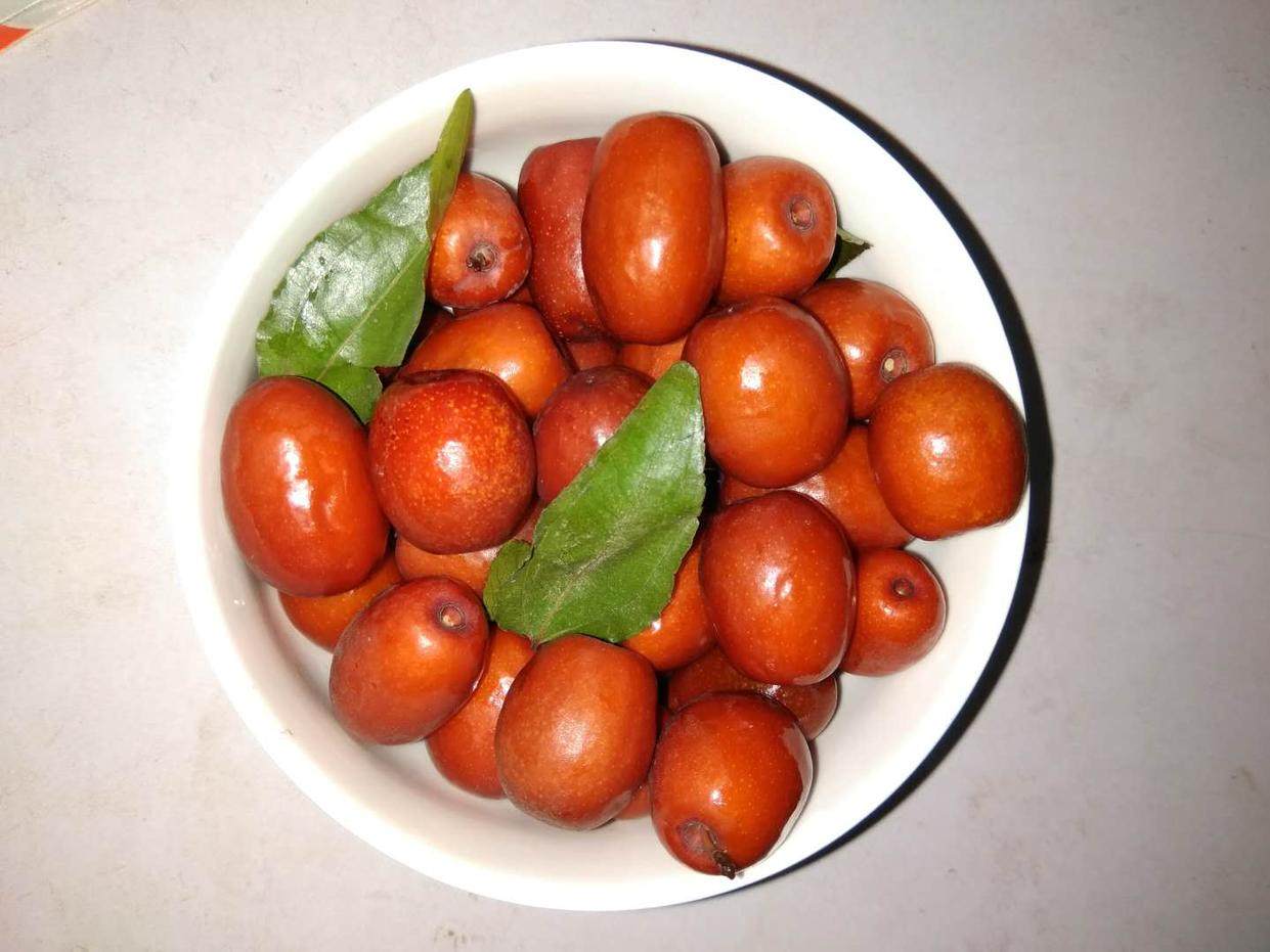 醉枣酒枣沧州金丝小枣新鲜红枣农家自产纯粮白酒腌制2018河北特产