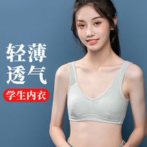 Small vest womens summer light girls underwear children adolescent girls junior high school students develop bras summer