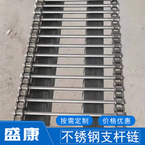 304 stainless steel egg conveyor strut chain Vegetable cleaning pho conveying line String rod chain type mesh belt