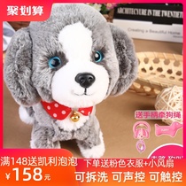 Korean childrens electric toys Dogs learn to talk sing plush walk call baby toys leash machines puppies