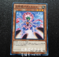 Yu-gi-oh Champ Warhime Petal Elf CPD1-JP031