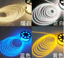 High bright LED light strip SMD3528 patch 60 beads waterproof light strip bar ktv220V dark slot light soft light strip