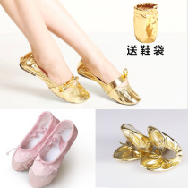 Belly dance practice cloth shoes Dance performance shoes PU leather beef tendon bottom low-heeled shoes Oriental dance modern dance cloth shoes