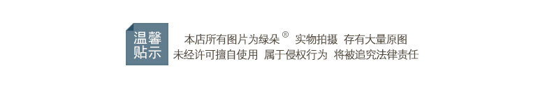 Креативные наклейки 绿朵 现代松果树脂开关贴家居客厅卧室插座保护套墙壁装饰墙贴 Green Flower