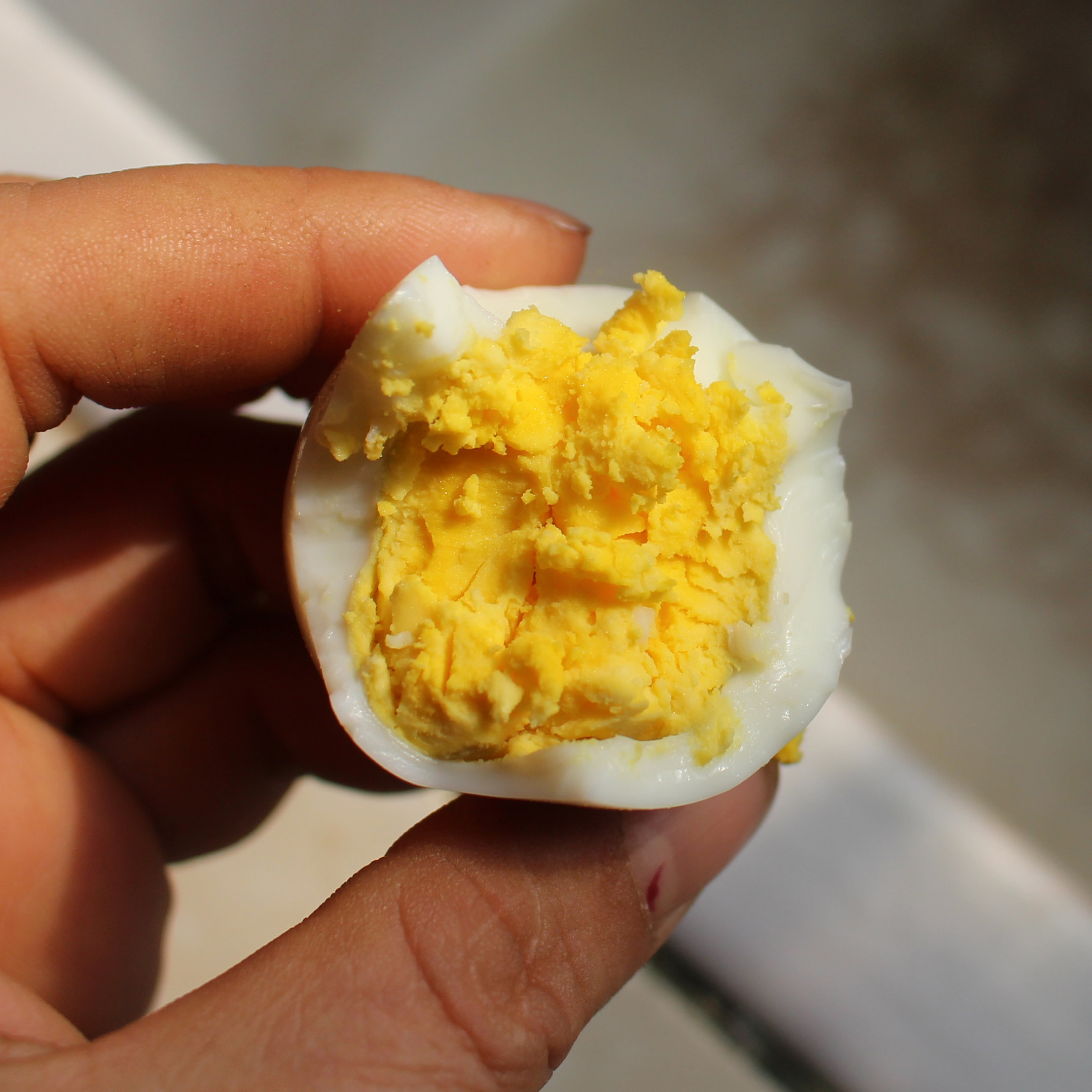 新鲜苏北农家散养土鸡蛋自养草鸡蛋柴鸡蛋笨鸡蛋10枚一份 2份包邮