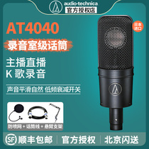 Audio Technica AT4040 Studio Large Diaphragm Condenser Microphone Live Recording Microphone
