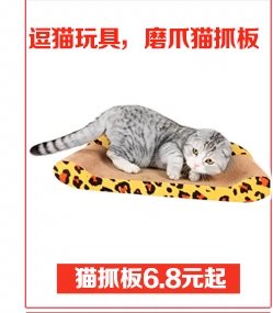 Miễn phí Vận chuyển Cầu vòm Mái nhà Mèo Leo Khung Cat Scratching Board Cat Toy Cat Jumping Platform Cat Tree Cat Nest Pet Nguồn cung cấp vật nuôi - Mèo / Chó Đồ chơi