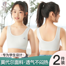 Girls' Underwear Developmental Vest Girls 10-16 Years Girls Junior High School Students High School Students Bra