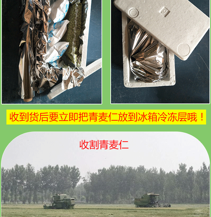 青麦仁速冻青麦粒 河南农家特产青小麦五谷杂粮2斤包邮酒店特色菜