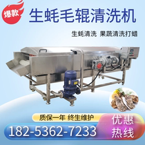Automatic oyster washing machine Sea cucumber abalone brush cleaning machine Lemon citrus fruit cleaning waxing machine