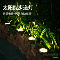 Solar buried lamp outdoor courtyard plug lights outdoor waterproof garden villa landscape decorated lawn lawn lamp