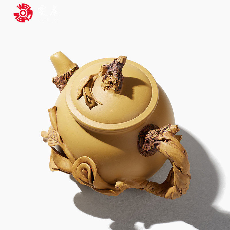 Shadow enjoy imitation wood are it Chen Dongzhu famous tea is purple sand teapot kung fu tea set piece of clay ore single pot of Y