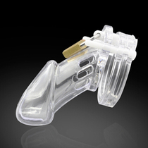 Prisoner bird male chastity belt lock chastity device CB6000S plastic version CB3000 anti masturbation rose gold