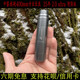 Zhongli 268 Factory Zoin 17mm Professional Mobile Telephoto Lens 8x22 플랫 필드 미러 400mm 망원 Zhongli 268 Factory Zoin 17mm Professional Mobile Telephoto Lens 8x22 플랫 필드 미러 400mm 망원