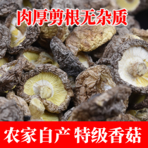 Xiaomeng Shiitake dried goods premium basswood batch wild special small dried shiitake mushrooms 500g commercial farm bulk
