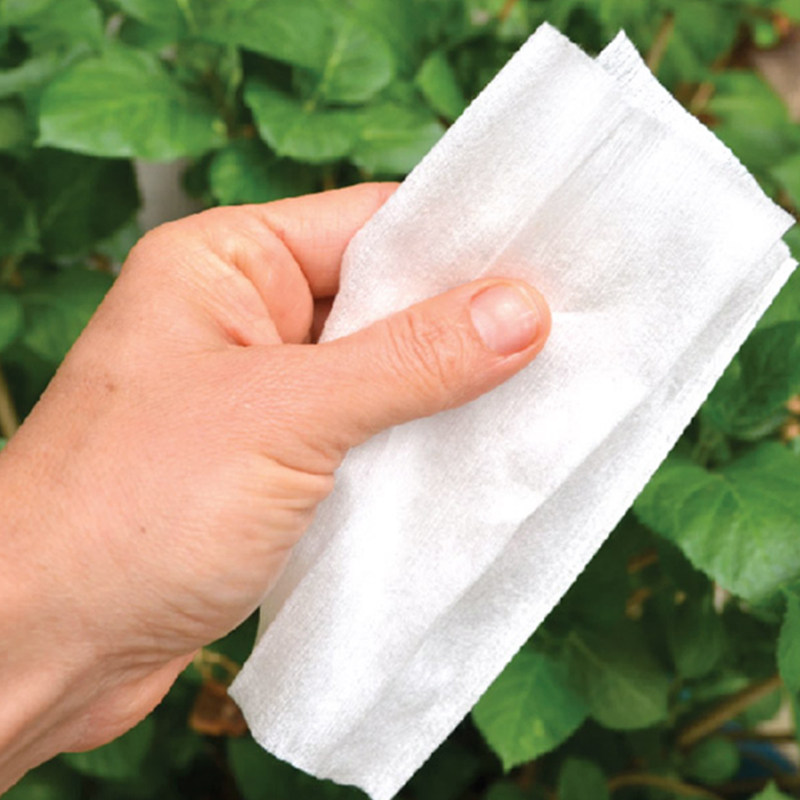 进口charlie banana2合1天然竹纤维布尿裤隔便纸擦巾100片装