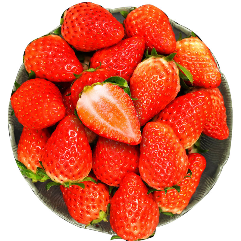 源生鲜丹东草莓红颜99新鲜当季现摘18斤