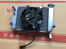 Dadi motor with small yellow dragon BJ250-15 water tank fan assembly radiator