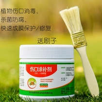 Tree wound healing agent Bactericidal healing agent Plant grafting Fruit tree healing cream Seedling coating agent Tree bonsai